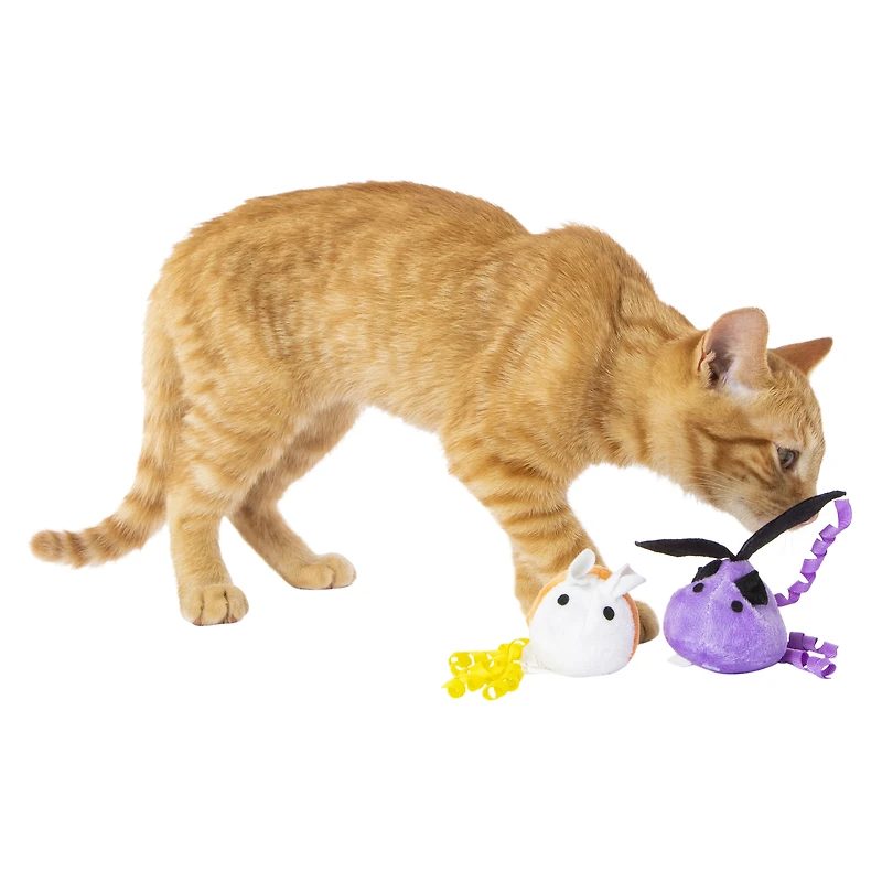 2-pack halloween cat toys