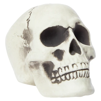 halloween bones skull
