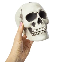 halloween bones skull