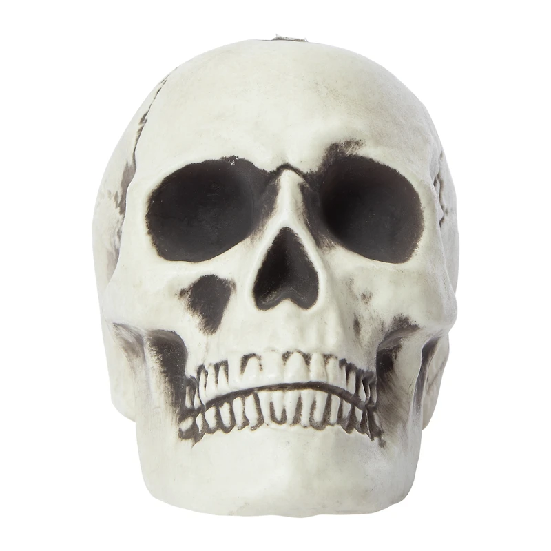 halloween bones skull