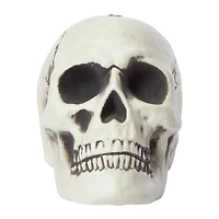 halloween bones skull