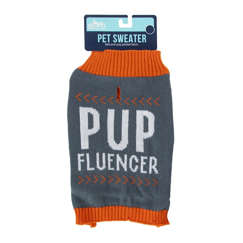 'chase your dreams' pet sweater