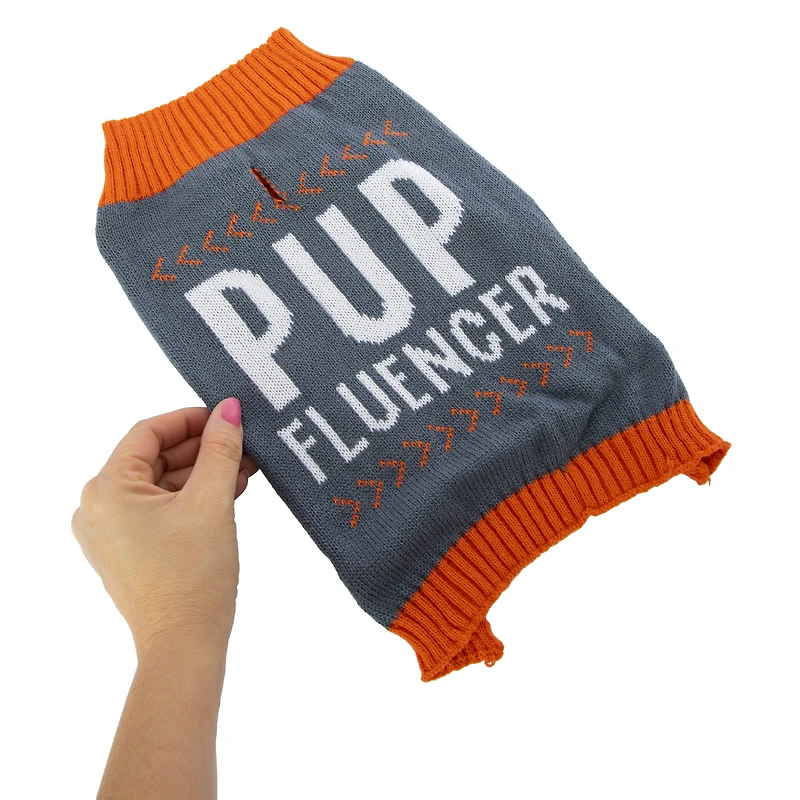 'chase your dreams' pet sweater