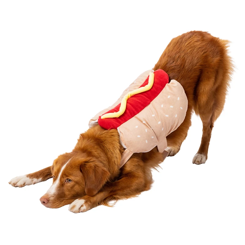 pumpkin halloween pet costume