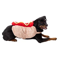 pumpkin halloween pet costume