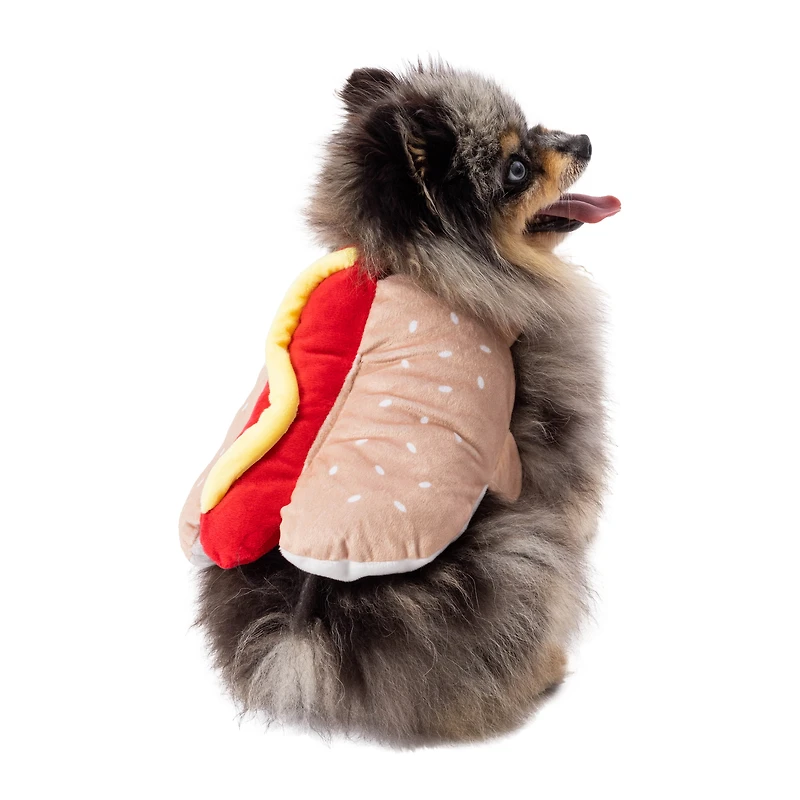pumpkin halloween pet costume