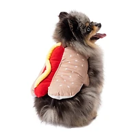 pumpkin halloween pet costume