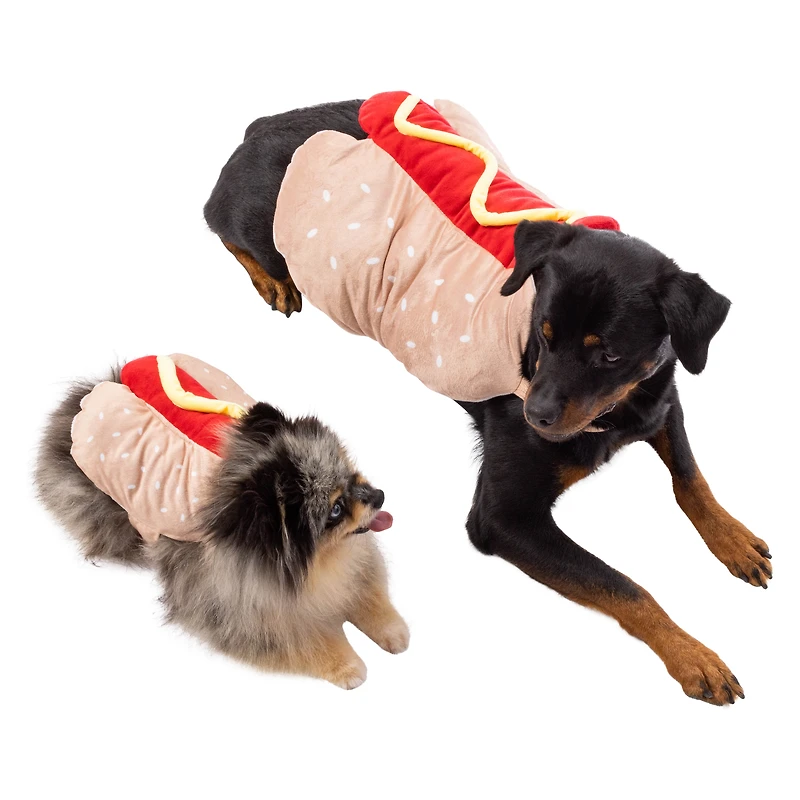 pumpkin halloween pet costume
