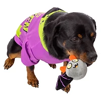 halloween squeaker 2-in-1 dog toy