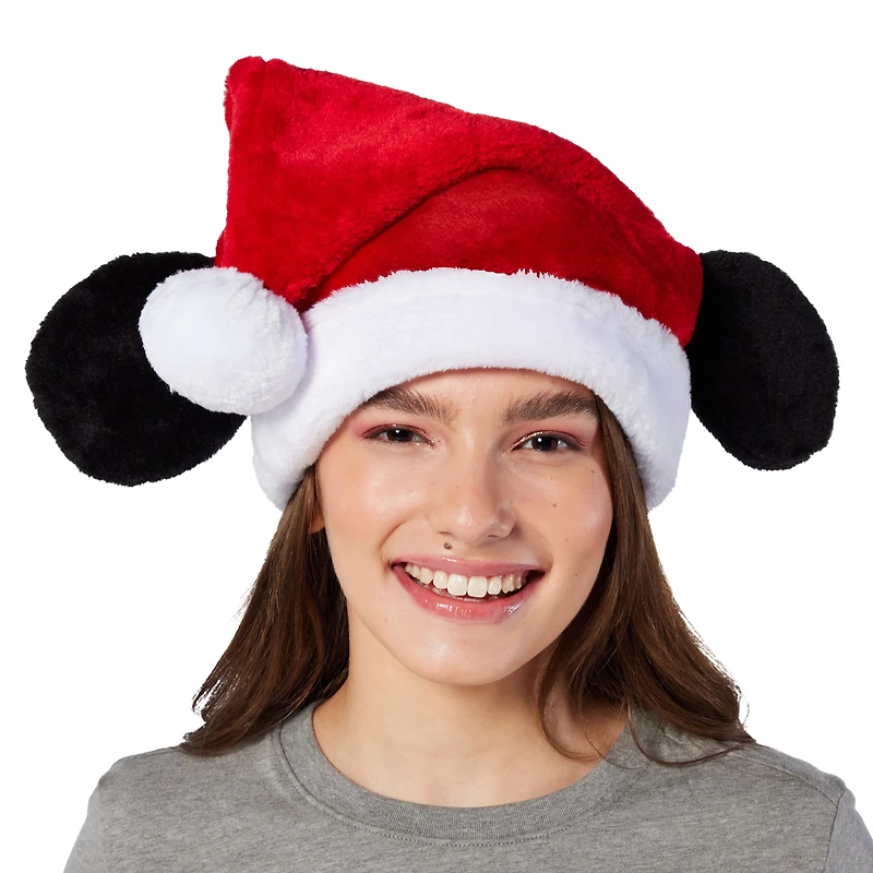 Character Santa Hat