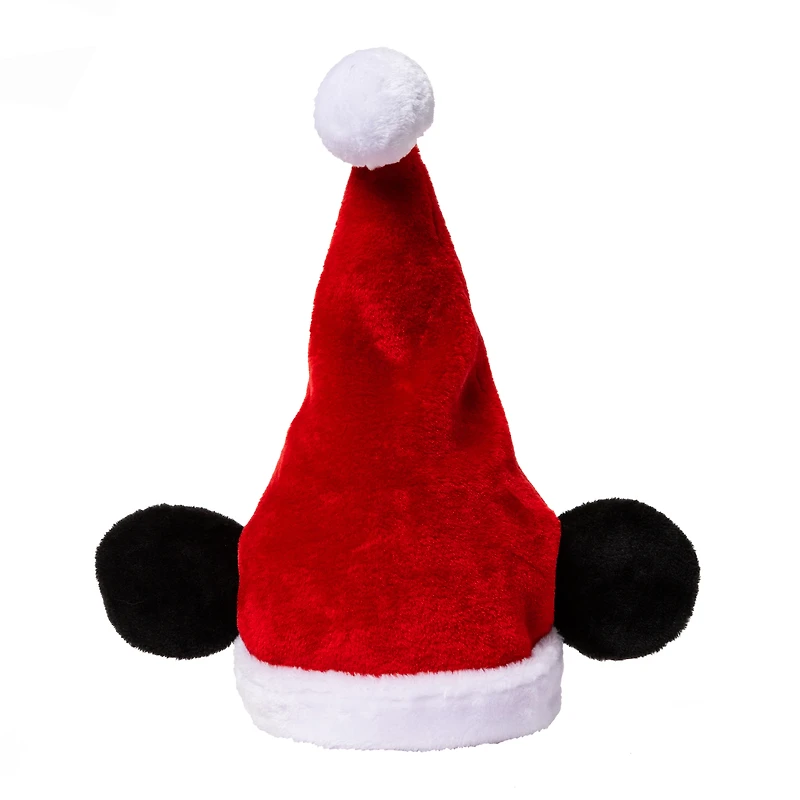 Character Santa Hat