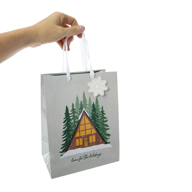 medium holiday gift bag 7in x 9in