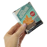 grow your own crystal hedgehog kit