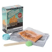 grow your own crystal hedgehog kit