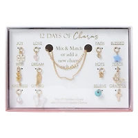 12 days of charms interchangeable charm necklace