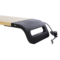 desktop monitor stand with dual port charging