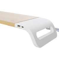 desktop monitor stand with dual port charging