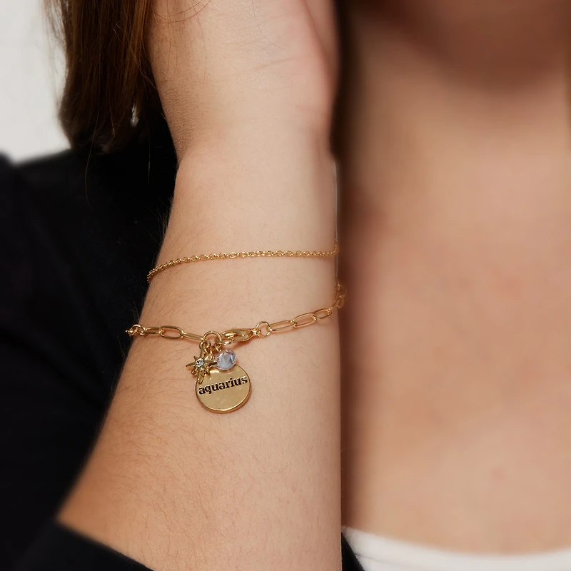 zodiac charm bracelet set