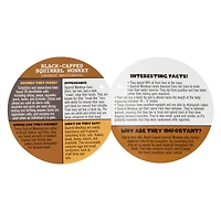 rainforest animals plush