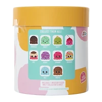 mystery plush ice cream tub series 1 blind bag