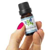 natural essential oil blends for rest & energy 3-pack