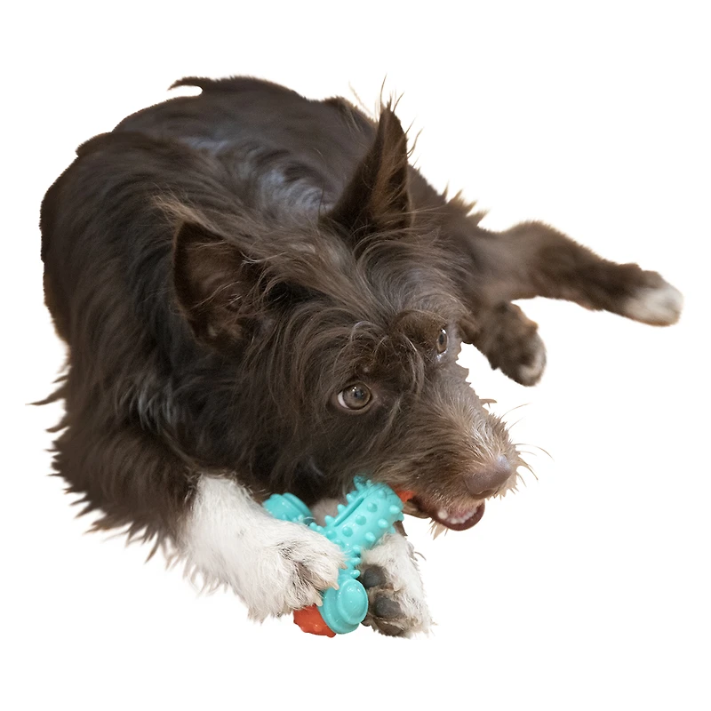 arm & hammer® nubbies wishbone