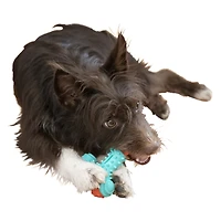 arm & hammer® nubbies wishbone