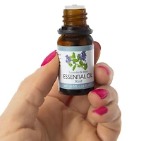 essential oils 3-pack