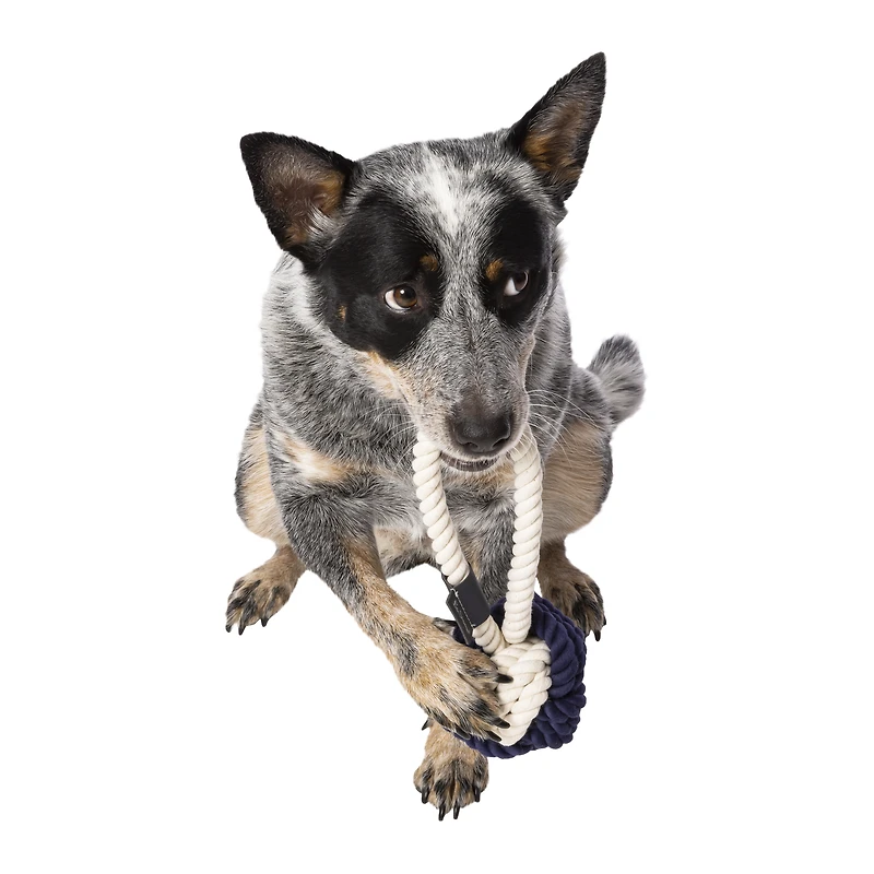 ben sherman® medium knotted rope dog toy 9.5in