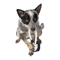 ben sherman® medium knotted rope dog toy 9.5in