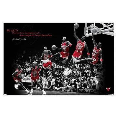 michael jordan poster 34in x 22.375in