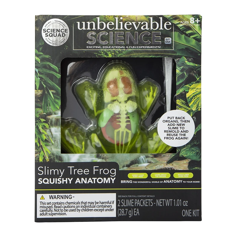 the science squad® unbelievable science slimy tree frog squishy anatomy kit