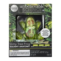 the science squad® unbelievable science slimy tree frog squishy anatomy kit