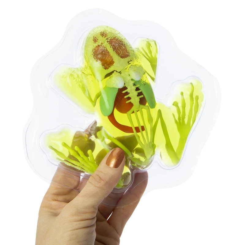 the science squad® unbelievable science slimy tree frog squishy anatomy kit