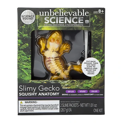 science squad® slimy gecko squishy anatomy kit