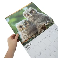 animal babies 16-month 2023 wall calendar