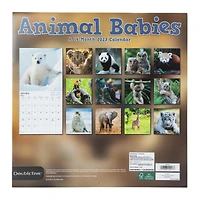 animal babies 16-month 2023 wall calendar