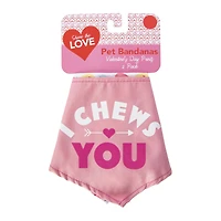 valentine pet bandana