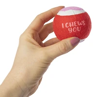 valentine tennis ball fetch dog toy 3-pack