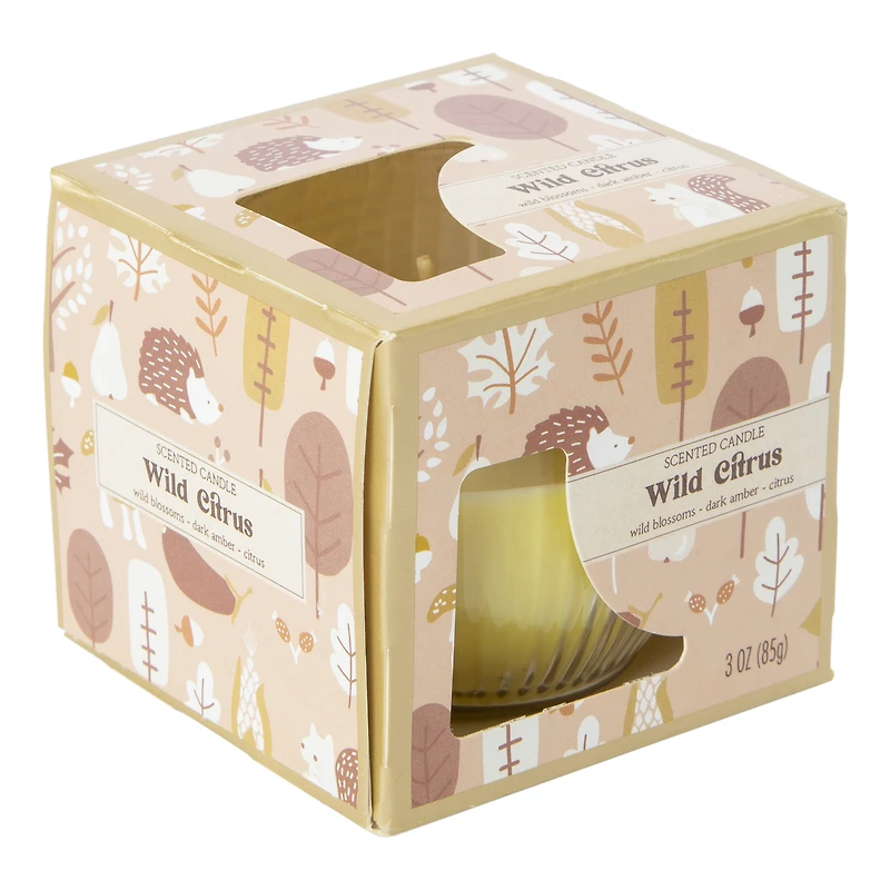 3oz boxed 'wild citrus' scented candle