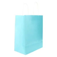 5-pack large kraft party gift bags