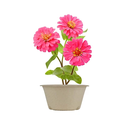 'save the bees' pollinator grow kit