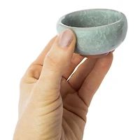 potted bonsai grow kit