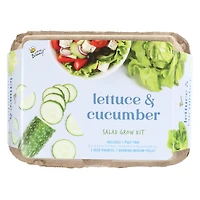 buzzy® biodegradable ingredient grow kit