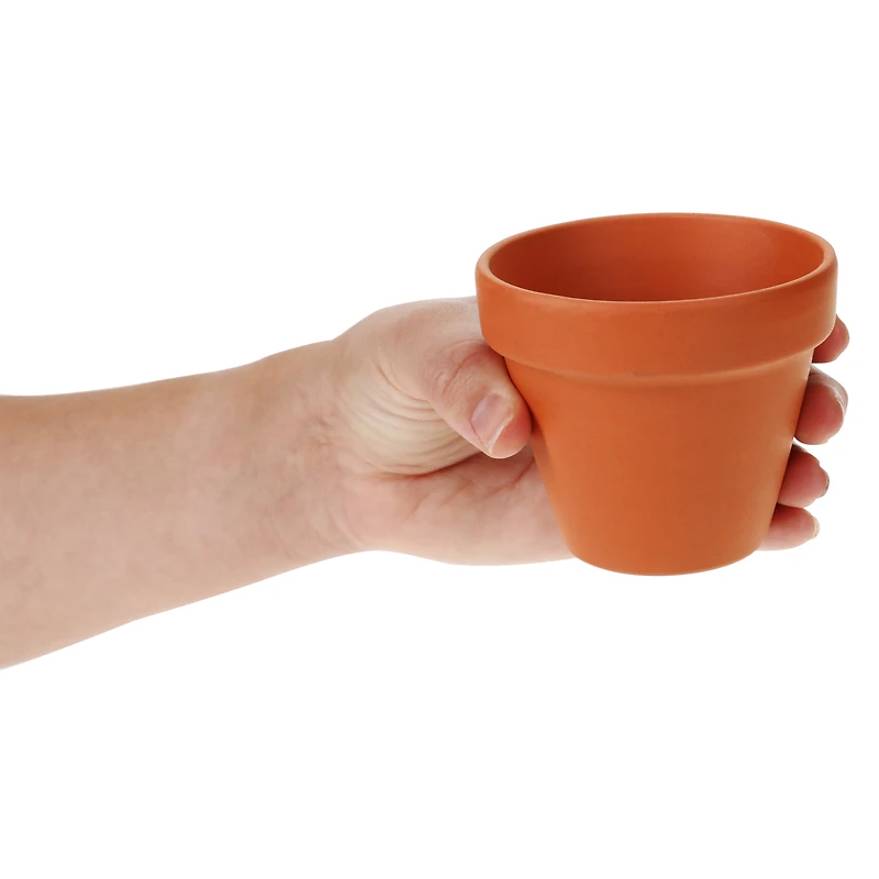 buzzy® terra cotta grow kit