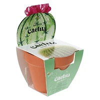 buzzy® terra cotta grow kit