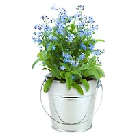 buzzy® pail grow kit