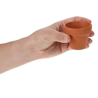 Mini Potted Plant Grow Kit - Sunflower