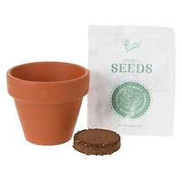 Mini Potted Plant Grow Kit - Sunflower