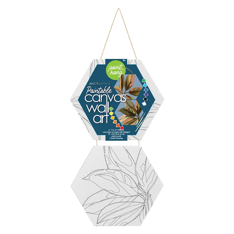 mini hexagon canvases wall art on rope 2-pack